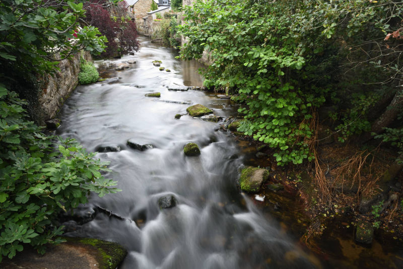 Rivière l'aven dans le bois d'amour à Pont-avec