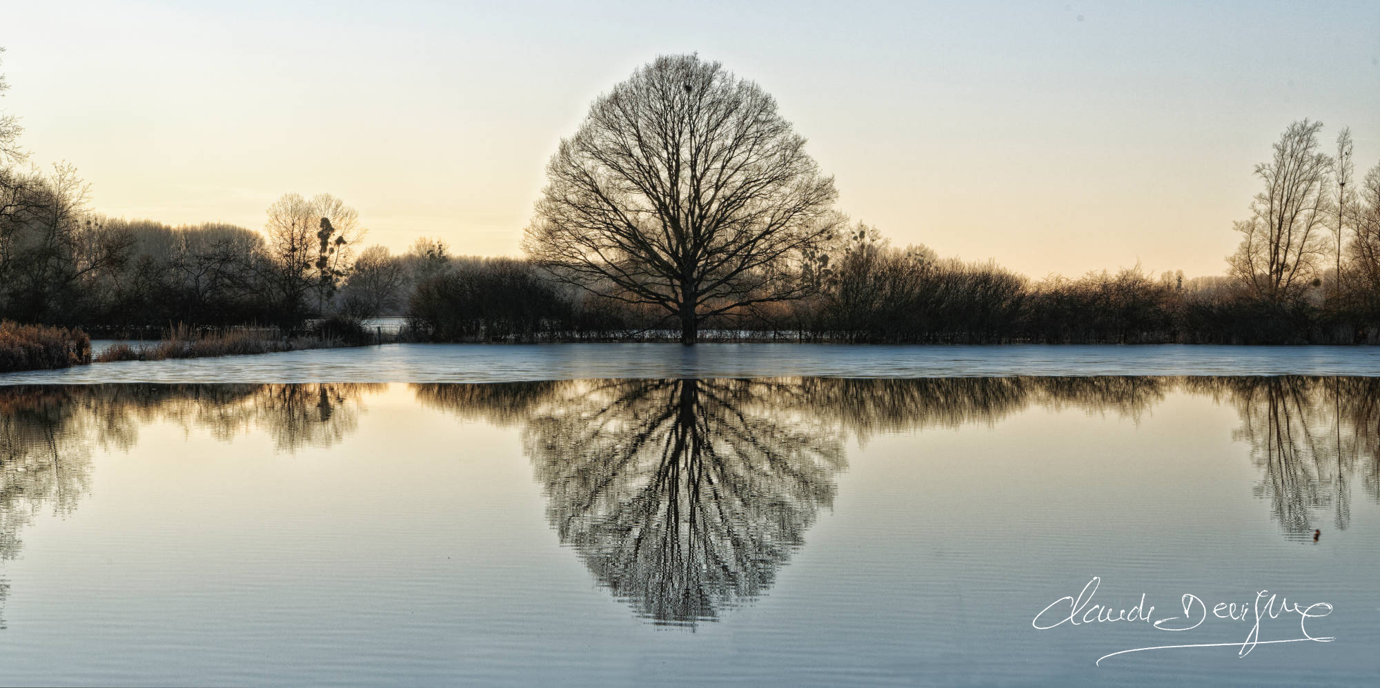 reflet d'arbre dans champs inondés entre Marizelle et Manicamp