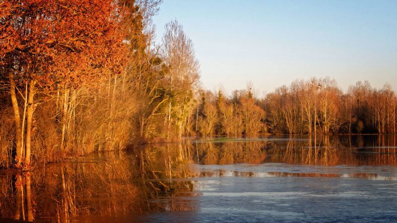 reflets d'arbres dans champs inondés entre Marizelle et Manicamp