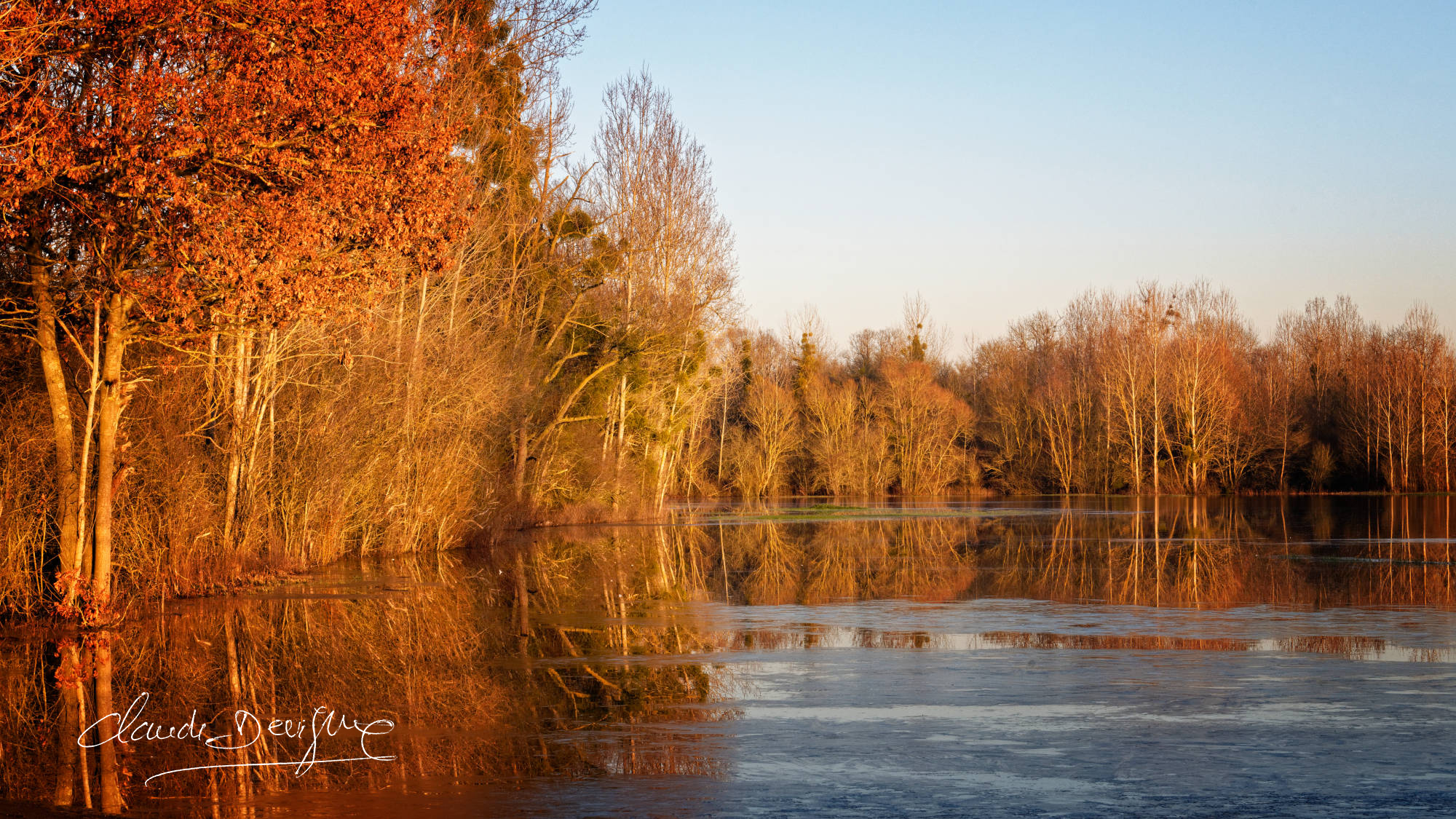 reflets d'arbres dans champs inondés entre Marizelle et Manicamp