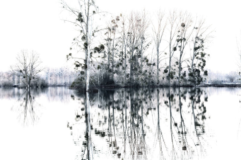 reflet d'arbre dans champs inondés entre Marizelle et Manicamp